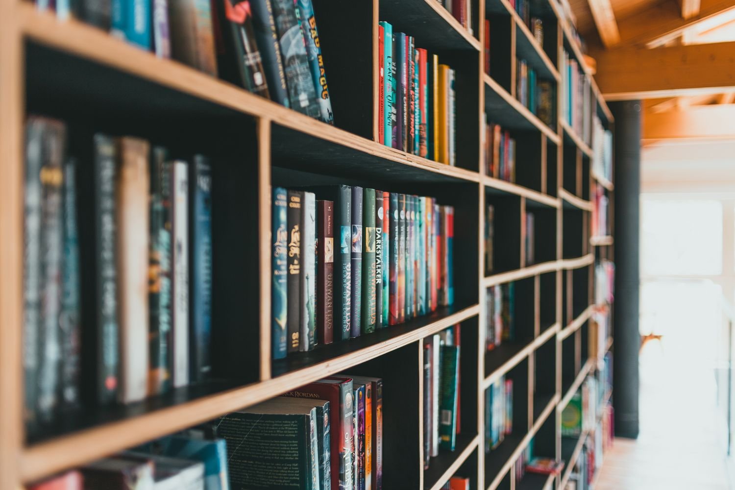 Colorful books neatly arranged on library shelves