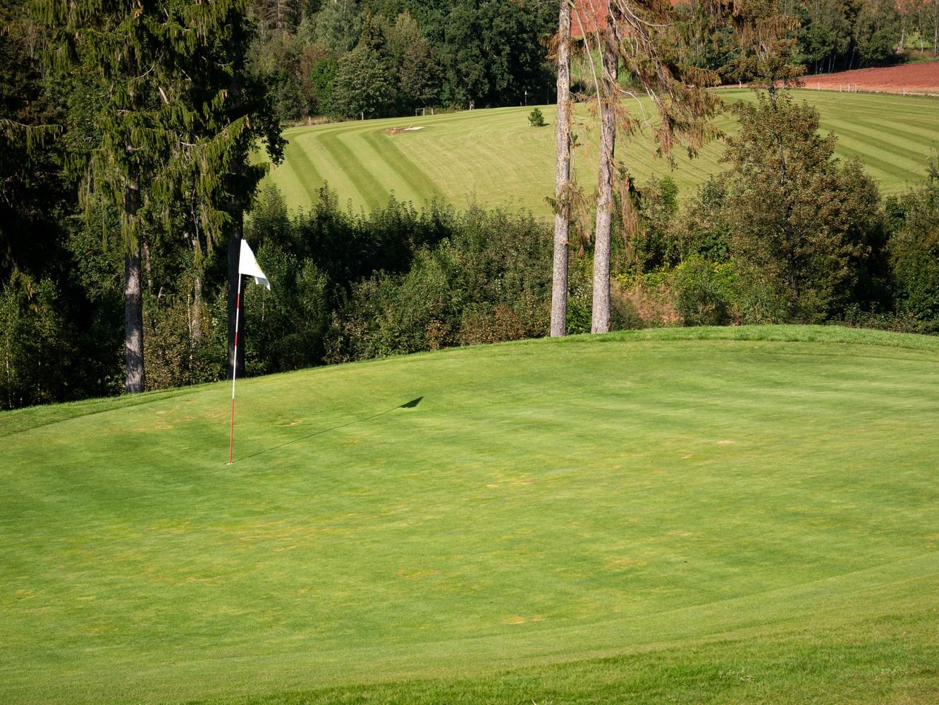 Vibrant green golf course fairway with a flagstick