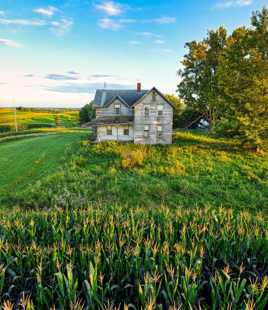 Farmhouse surrounded by cornfields under an open Midwest sky