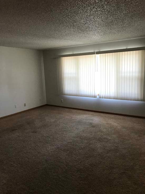 Living room in a Blackford Street apartment